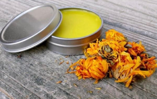 Calendula Extra Regular Strength 1 ounce