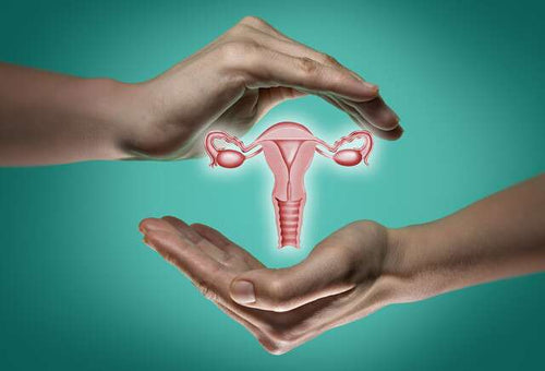 Female Repro Health